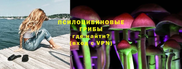 МДПВ Алексеевка
