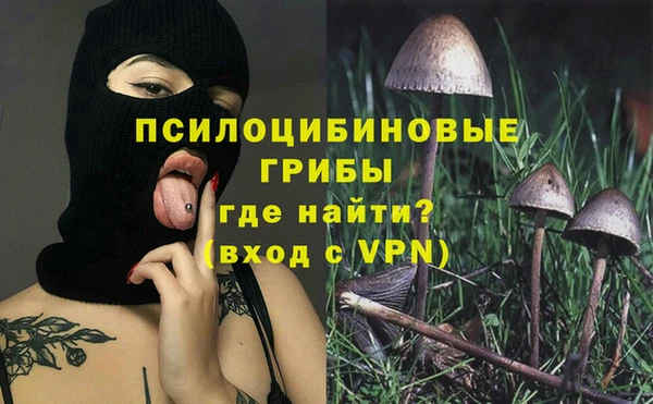 ALPHA PVP Алзамай