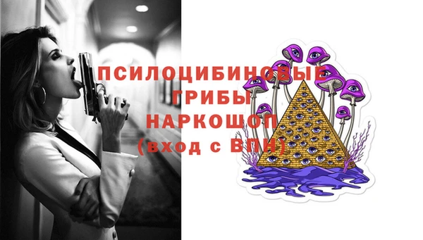 бошки Алексин