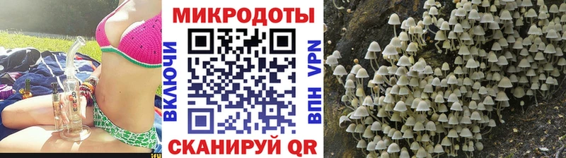 блэк спрут   Сельцо  площадка формула  как найти закладки  Псилоцибиновые грибы прущие грибы 